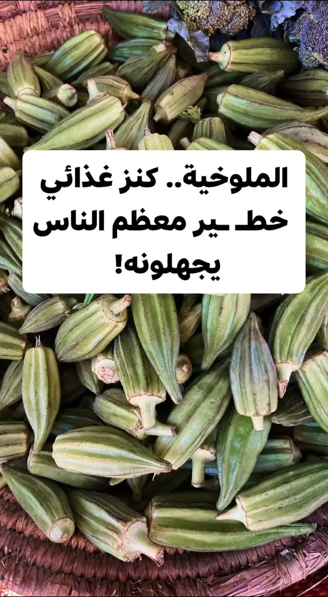 #JustGoLIVE #المغرب🇲🇦تونس🇹🇳الجزائر🇩🇿 #PaidPartnership 