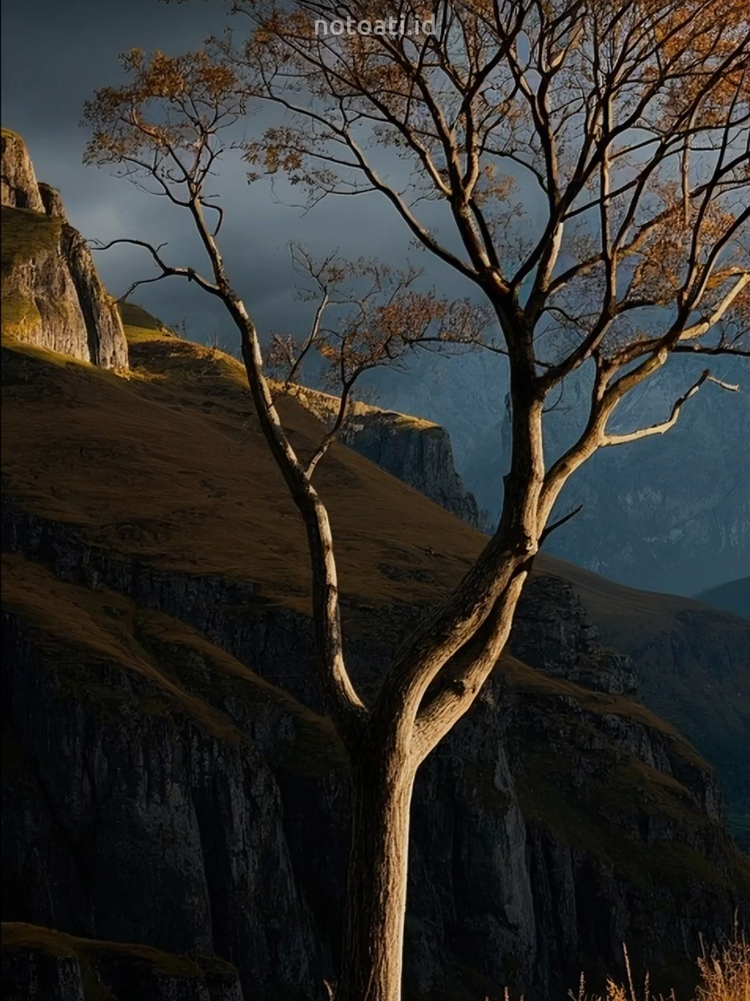 Jangan takut dengan apa yang sedang terjadi saat ini padamu, jalani saja. Jalani, ikuti alurnya, karena Allah tak pernah salah dalam memilih skenario hidup setiap hamba-Nya. #katakatabijak #quotes #motivasi #inspirasi #status #story #reminder #pengingatdiri #islami #viral #fyp