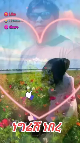 #creatorsearchinsights 