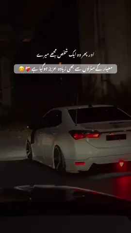 تم میرے لیے بے حد عزیز ہو جاناں❤️‍🩹🥀🥰#foryoupage #foryoupage #foryou #100k #grothmyaccount 