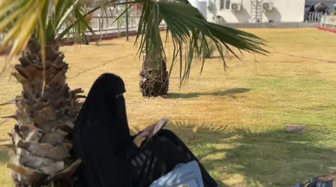 أن أصحُو عَلَى أَيامٍ مُزهِرة  أن أحصد نتيجَة صَبري ببَهجةٍ تَملئ بَقِيَّـة العُمر يا الله .#متابعه #الاكسبلور #محبيبن ال بيت #