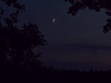 - бутырка чечёточка // #футажи #музыка #песня #music #текстпесни 