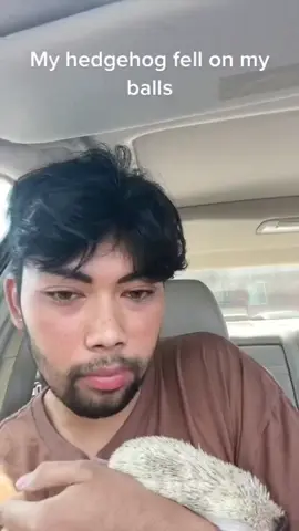 It was not a good pain… at all.. sonic sucksss 🎥 Repost from : Tiktok litleowll ---------------------- 🔷 Describe your day in one word and tag your friends or family who love to see this ❤️ 🔔 Don't forget follow us and turn post notification on ⚠️ Listen to your heart – keep shopping - keep loving, visit our shop in my bio now Thank you so much 💛 . . . . . . . #hedgehogsofinstagram #hedgehogs #hedgehogsofig #hedgehogstagram 