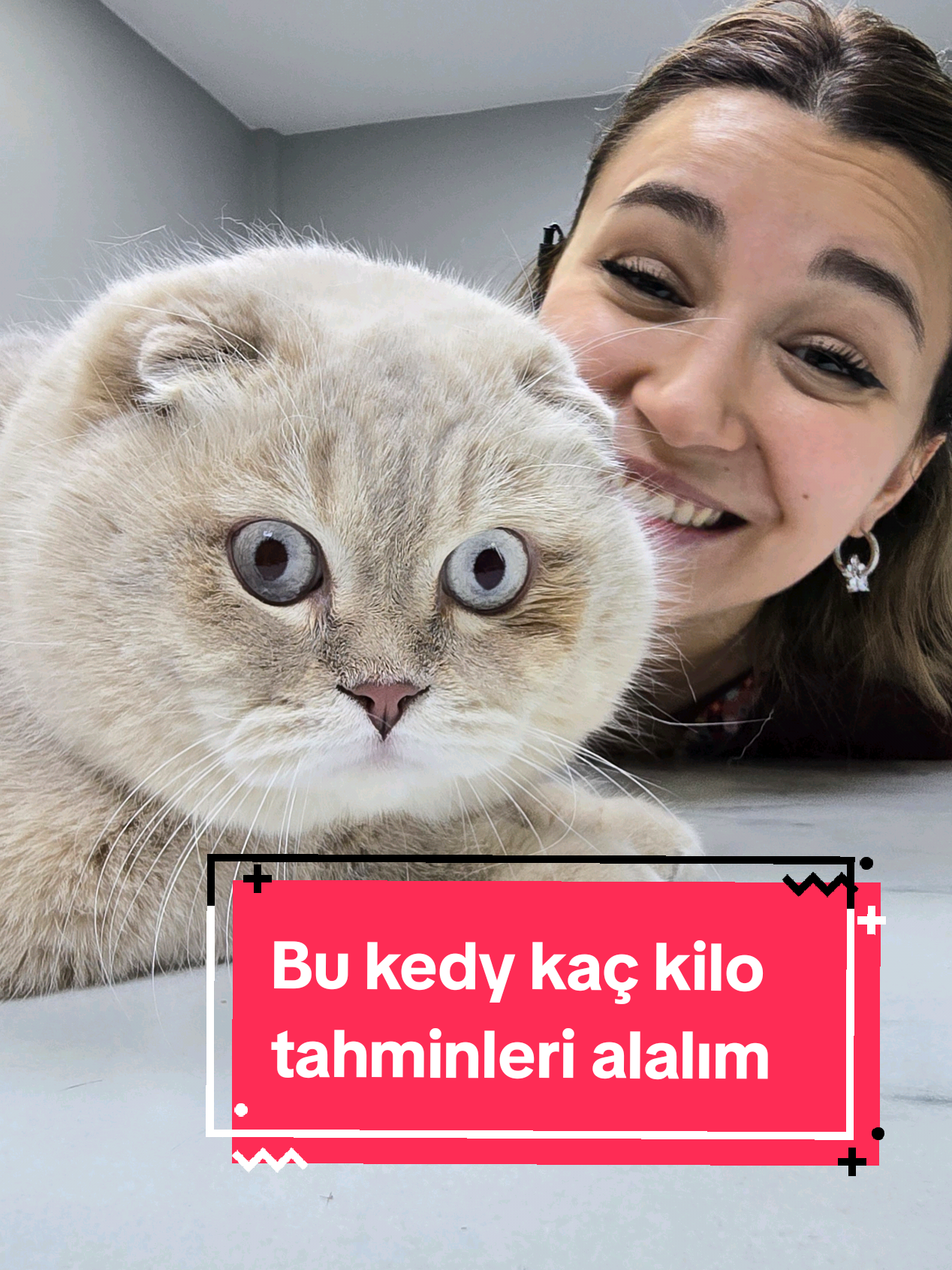 Bu kedy kaç kilo tahminleri alalım 🫠#catlover 