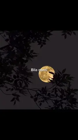 🎶 Piche Kota - Bahagia Lagi. #songlyrics  #sadsong  #galaubrutal  #viralsong  #fyp