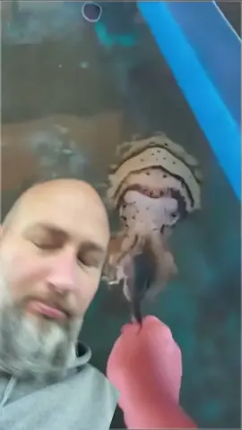 Cuttlefish are aliens, creepy cool aliens. #merica #cuttlefish #water 