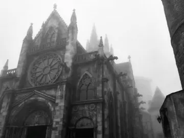 #gothicarchitecture #cathedral #castle #gothic #liminal 
