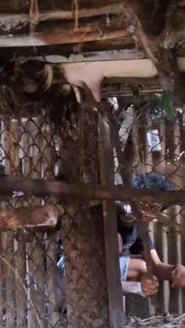 #fyppppppppppppppppppppppp #fypage#foryou 