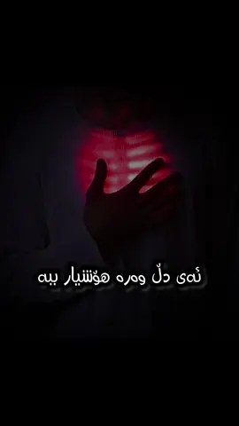 ئەی دڵ وەرە هۆشیار ببە…) سرودی ئاینی دڵخوازت کامەیە ؟ #فی_سبیل_الله☝🏻 #foryou #سرودی_ئاینی #viral #video_islamic  