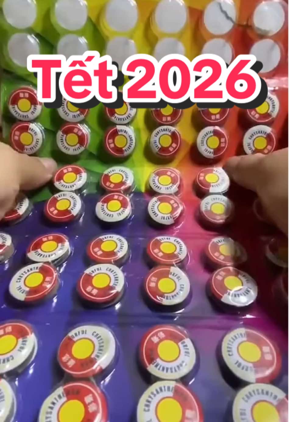 Tết tới rồi ae ơi 2026 #tet2026 #conxoayphatsang #conquayphatsang #conxoaydochoi #conxoay