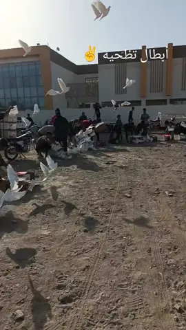 ✌️✌️#ناصريه 
