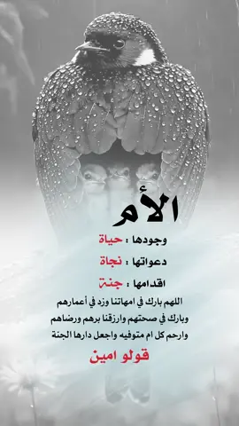 امين 