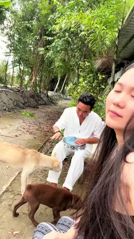 Dữ nha cậu vàng #thuanchua #leevan 