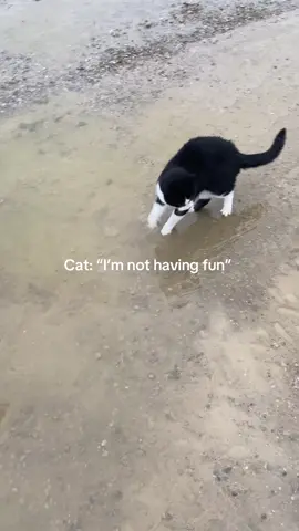 Just two Best friends jumping in puddles 