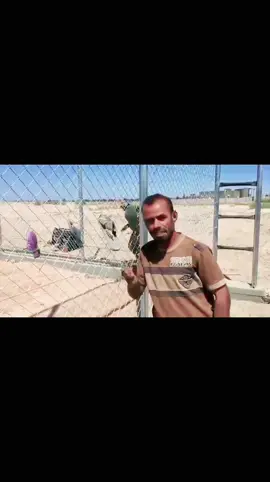صولح الذيب  متابعه وكسبلاور 