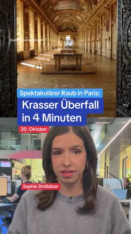 Krasser Überfall auf das meistbesuchte Museum der Welt: Riesenbeute aus Louvre in Paris gestohlen #zib #zeitimbild #news #louvre #einbruch