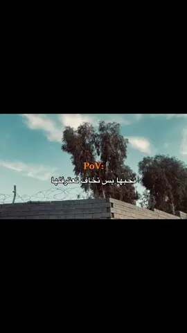 #شعر #اغاني #fyp #vairal #الشعب_الصيني_ماله_حل😂😂 