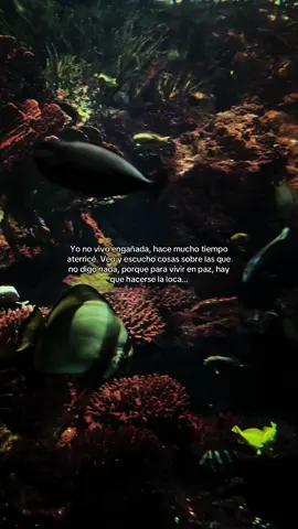Cómo estás hoy?  #mujereslatinas #aquarium #frasesdeamor #compartir #fyppppppppppppppppppppppp 