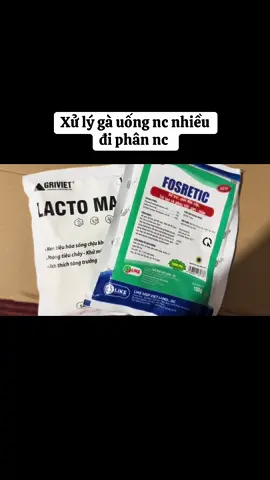 Xử lý gà đi phân nc uống nc nhiều 