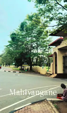 ඓතිහාසික මහියංගන රාජමහා විහාරය…..🙏🙏🙏 #srilanka #mahiyanganaya #mahiyanganarajamahaviharaya 