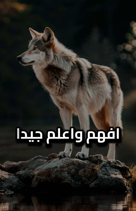 جزء544/افهم واعلم جيدا… أن من يسكت لا يجهل، بل يعرف أكثر مما يقول، فقط اختار الصمت كهيبة لا كضعف…؟ #اقتباسات_عبارات_خواطر #تحفيزات_إيجابية #كلمات_من_ذهب #اقتباسات #اكسبلور 