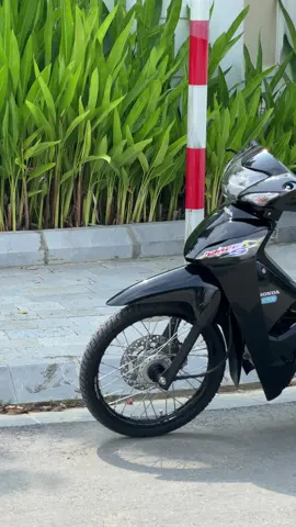 Tềnh tàng quá kk 🌊 #Wave #Honda #viral #donxe 