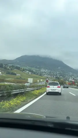 #switzerland🇨🇭 #LIVEIncentiveProgram #LIVEMonetization #PaidPartnership 