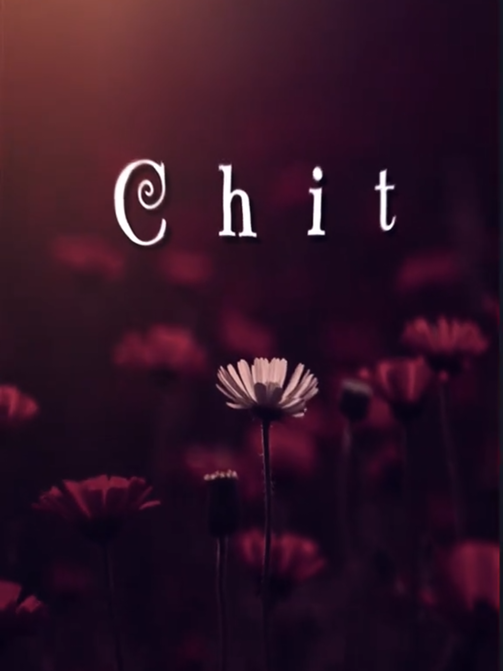 • သင်နှစ်သက်သော အမည်အစစာလံုးလေးများရေခဲ့ပါ။ Edit လုပ်ပေးပါသည်။ • • • • • • • • #mytype #flypシ #foryoupage #foryou #creatorsearchinsights @tiktok creators @TikTok