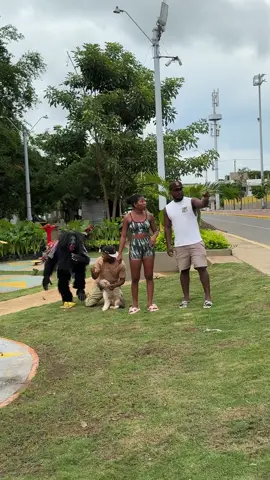 #funny #dog
