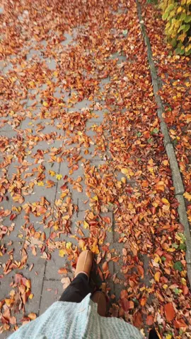 ورقة خريف سقطي قدامو🍂🍁