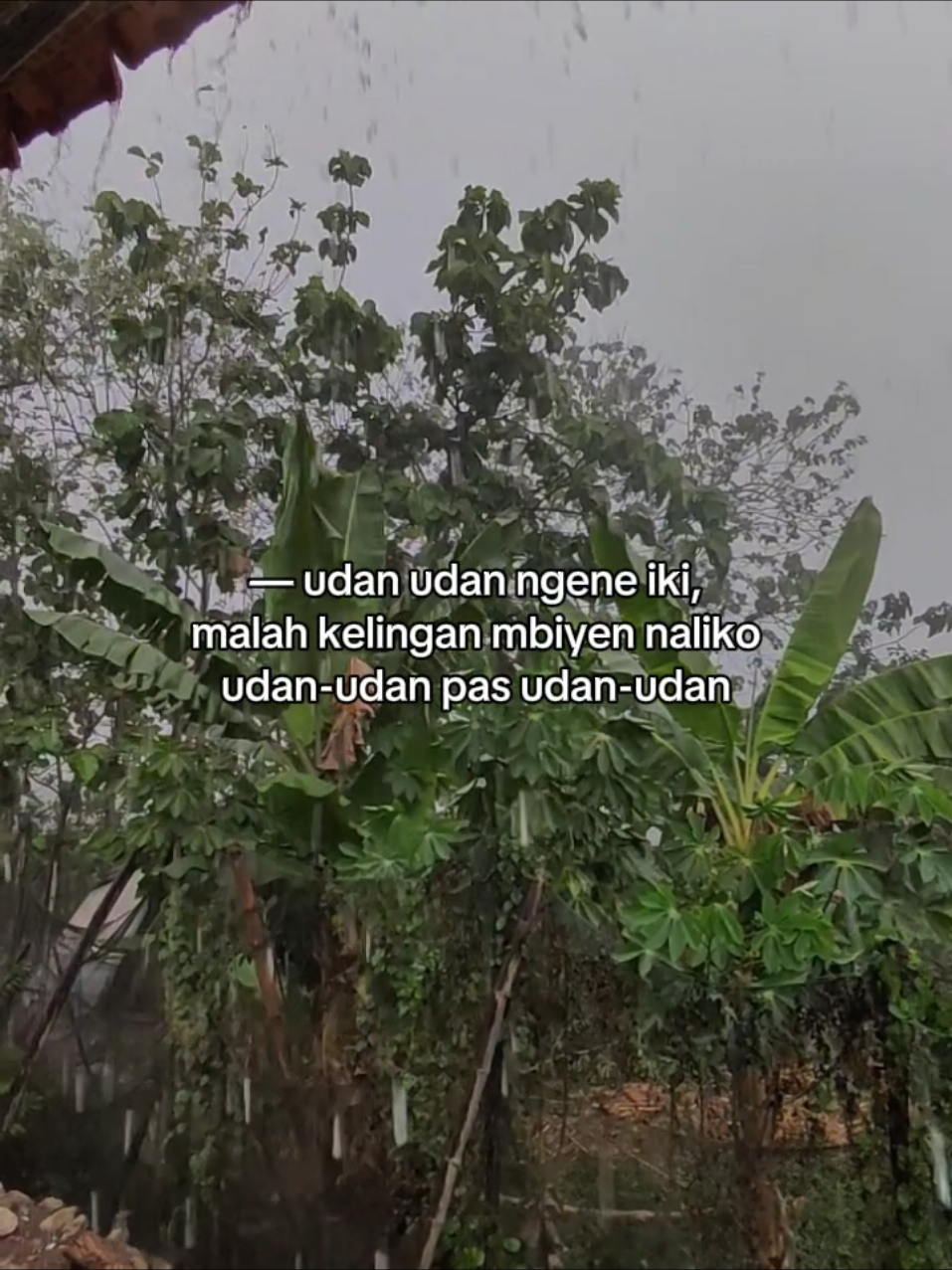 #4u #bismillahfypシ #masukberanda #foryoupage #xyzabc 