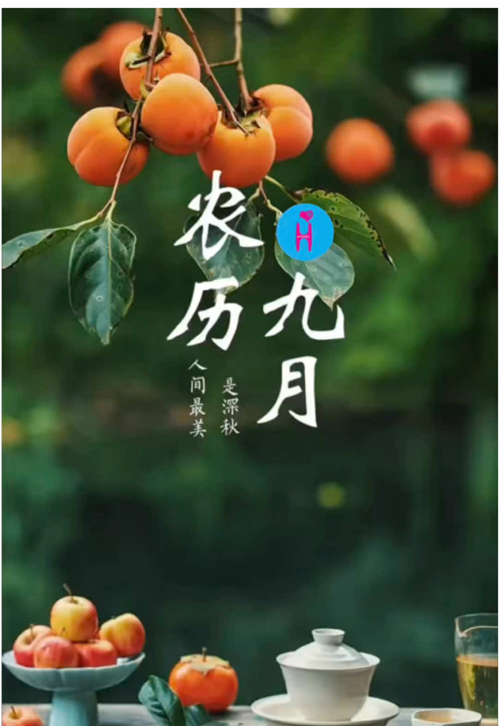 「農歷九月」 今天是農歷九月初一，九月也被稱為