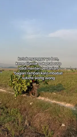 bagian ngarit sukete tonggo #fyp #tukangngarit #sarjanapengaritan #peternakmuda #ngarit 