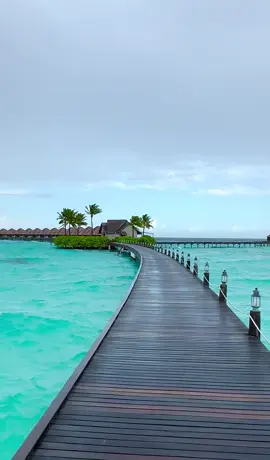 this is tha time to travel maldives🏝️ #creatorsearchinsights #fhy #maldives #viral #foryoupage 