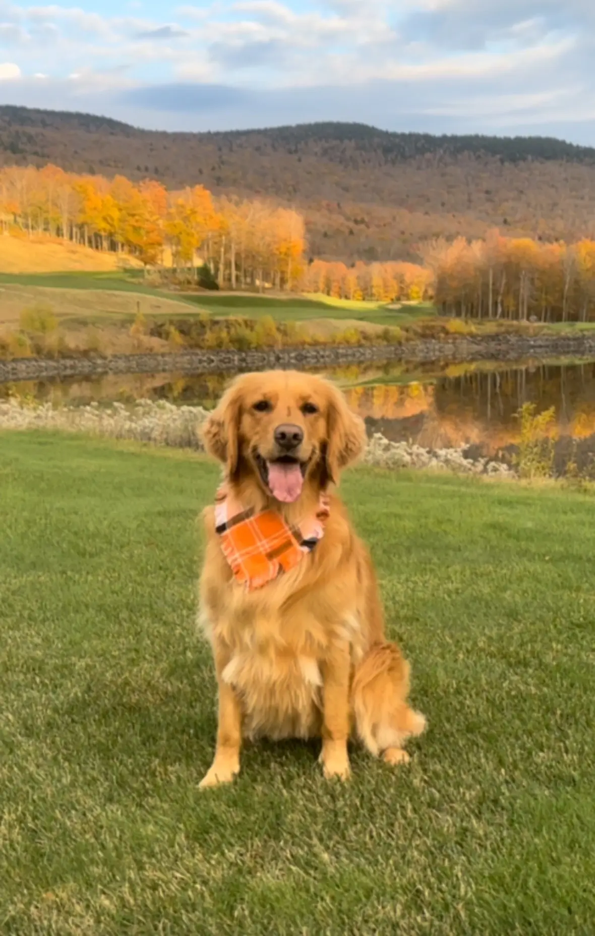 Mindful Maple and Macy remind us that even when the world feels heavy and uncertain, there is still beauty all around us waiting to be noticed. Paw-se, breathe, wag and repeat.🍁🐾❤️