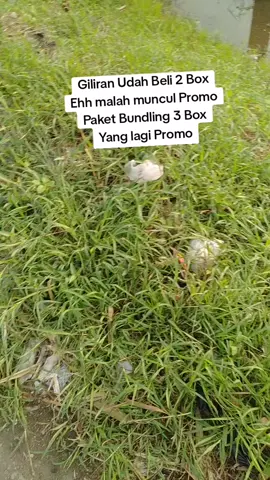 #tehhijaukalon #kalontehhijau #tehkalonhijau3box #paydaysale #gajiansale 