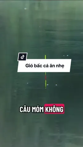 Móm không nản nhé anh em #dammecauca #caucatunhien 