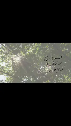 يالله شعور هذه الاية قريباً 🤍🤍🤍🤍 #قران #فرحين_بما_اتاهم_الله_من_فضله  #اللهم_صل_على_محمد_وآل_محمد  #اكسبلور #نجاح 