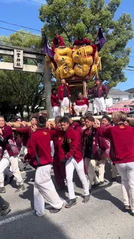 一宮から帰洛 #中須賀太鼓台 #新居浜太鼓祭り  