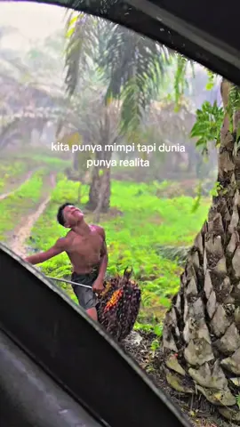 😌😌#fyp #kalimantanselatan 
