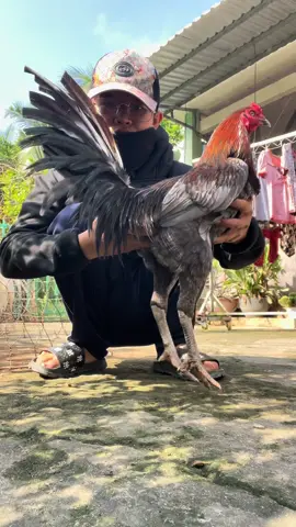 Xám thần kkk #xuhuong 