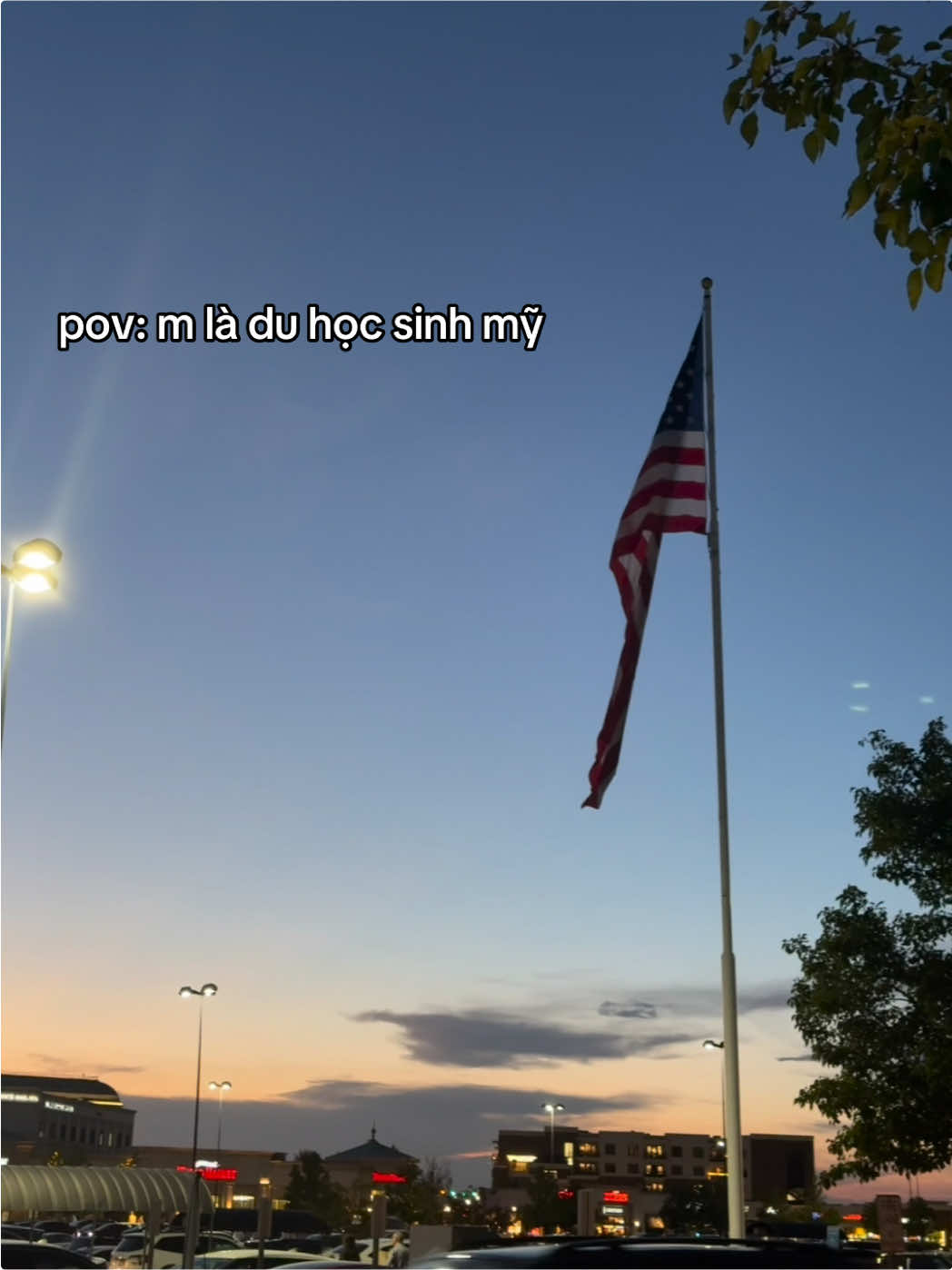 #CapCut #duhocsinh #usa #chiyeuminhanh #fyp 