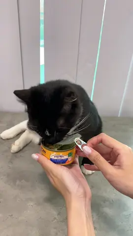 Pate này mèo ghiền thì thôi nhéeee #LaPaw #MakeThemWag #patemeo #patelapaw 