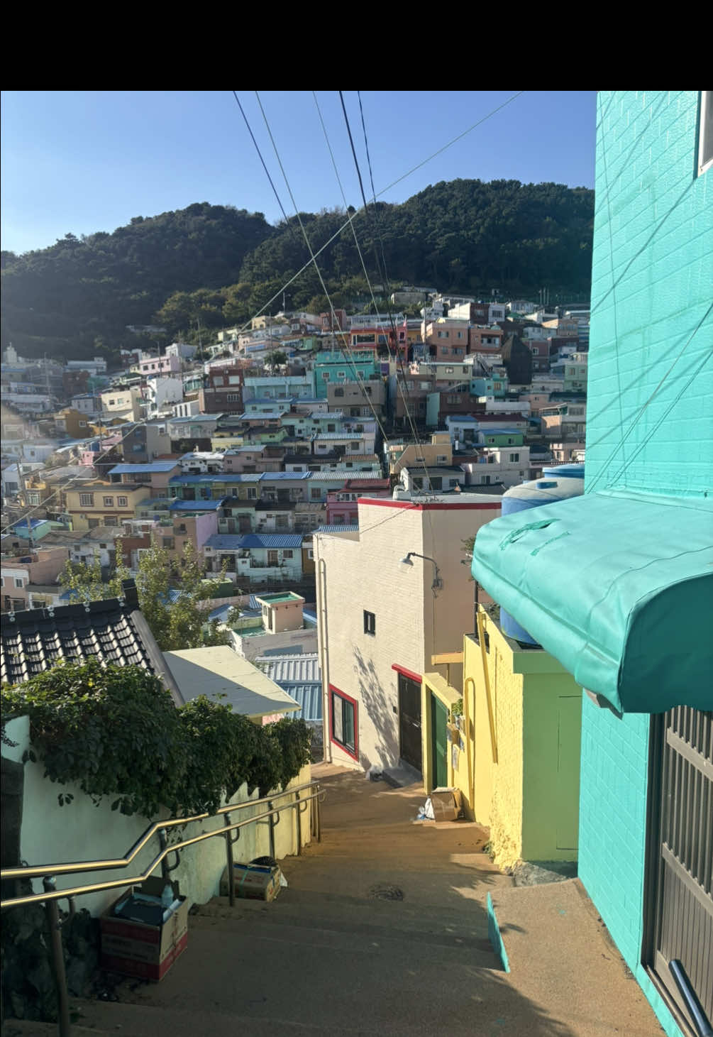 Riding the green bus in South Korea is an attraction itself  #travel #southkorea #busan #seoul #7eleven 