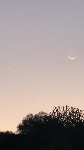 Early morning things … 🌙 🌟 #earlybird #IndigenousTikTok #nativetiktok #moon #sunrise 