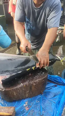 #tuna #freshtuna #fishvendor #thisismyjob #thankyoutiktok 