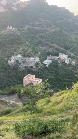 #فيفاء_وبس_👍_💯 #متابعه❤️❤️❤️❤️ #اكسبلورexplore❥🕊 