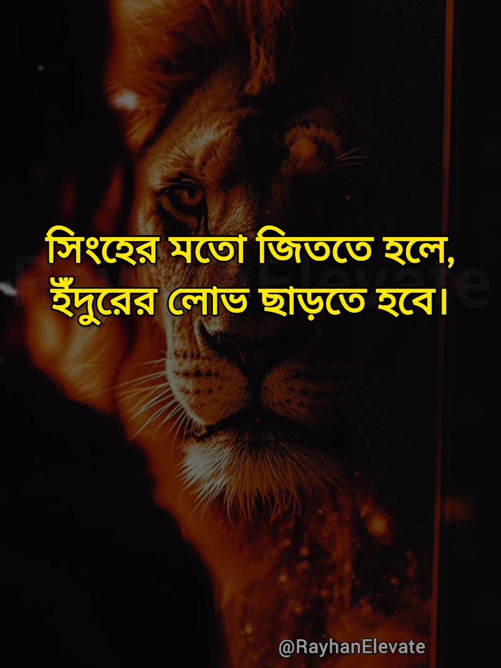 সিংহের মতো জিততে হলে ইঁদুরের লোভ ছাড়তে হবে। #motivation #SelfImprovement #foryou #viral 