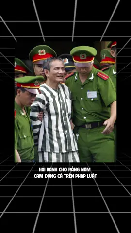 Các anh có dám bắt không#hosotuyetmat #namcam #gianghovietnam #haibanh #xuhuongggggg 