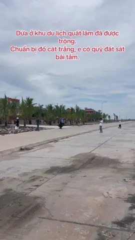 Dừa ở khu du lịch quất lâm đã được trồng. Chuẩn bị đổ cát trắng, e có quỹ đất sát bãi tắm.#thichthaydoanh #thichthaydoanhreview #thichthaydoanhx #datnen #datnengiare 